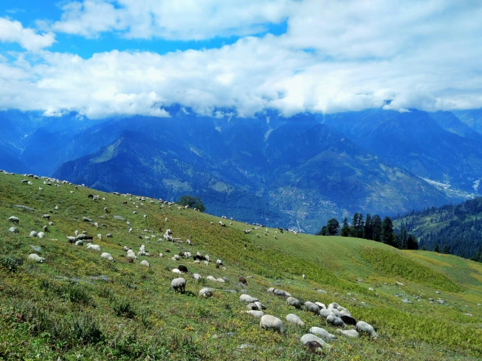 Manali